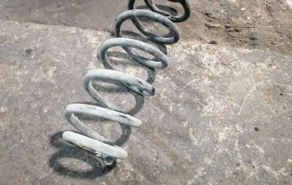 Rear coil spring
