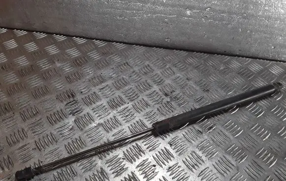 Ford S-MAX Tailgate/trunk strut/damper
