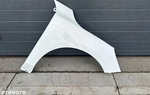 Ford Focus Fender