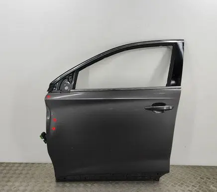 Citroen DS7 Crossback Front door 9819326280