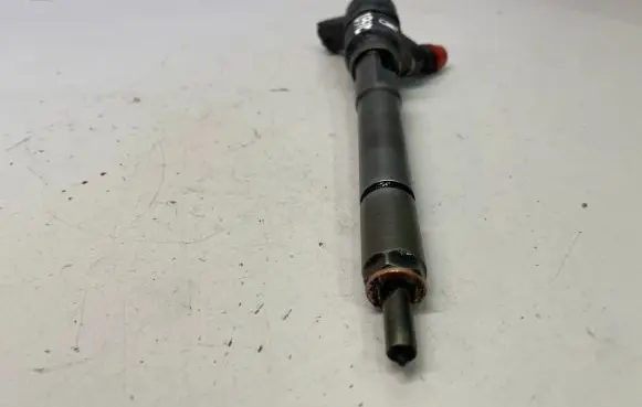 Hyundai Santa Fe Fuel injector 0445110254 3380027800