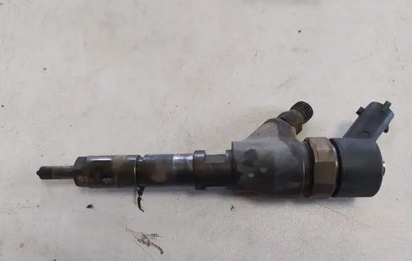 Peugeot 406 Fuel injector 9637536080 0445110044
