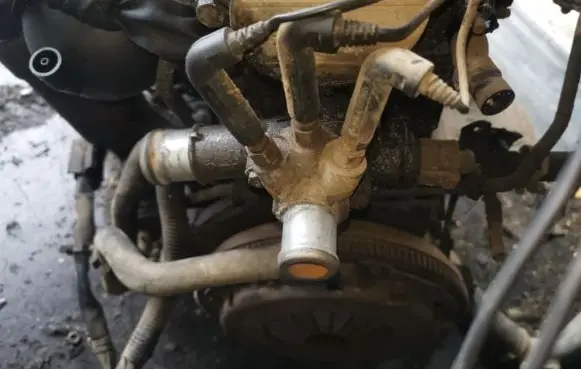 Audi A3 S3 8L Engine coolant pipe/hose