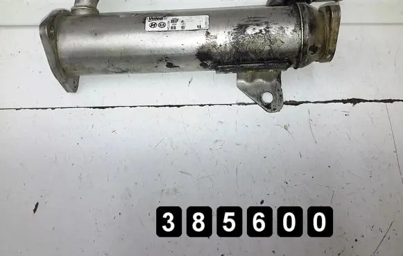 Hyundai Santa Fe EGR valve cooler xs1164