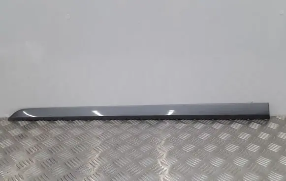 Front door trim (molding)