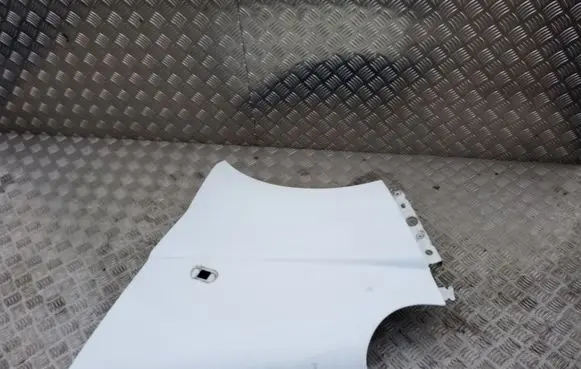 Nissan Primastar Fender
