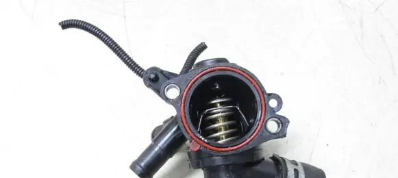 Nissan Qashqai Thermostat 110619413r