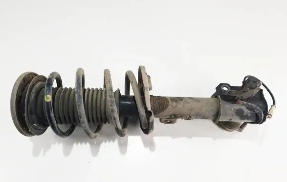 Opel Signum Front shock absorber with coil spring