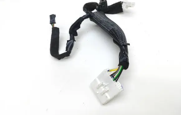 Renault Kangoo III Other wiring loom 240M10811R B00300