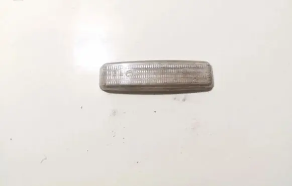 Front fender indicator light