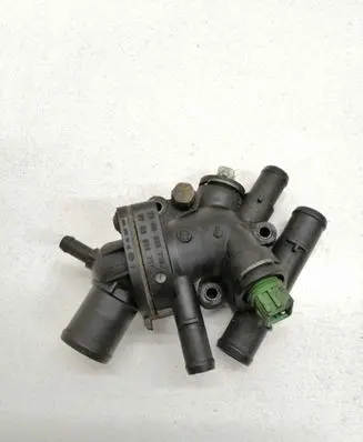 Thermostat/thermostat housing