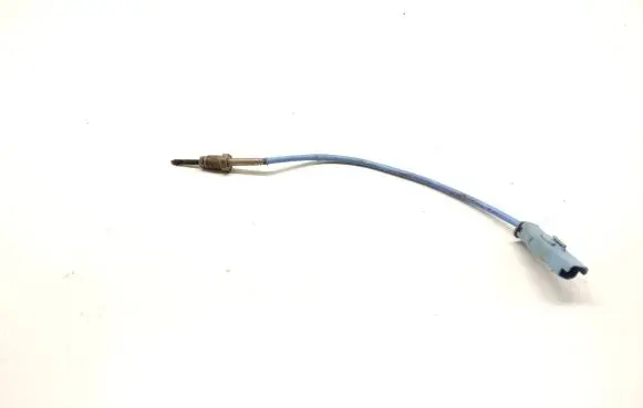 Exhaust gas temperature sensor