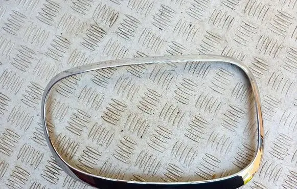 Mini Cooper Countryman R60 Rear/tail light trim molding 0344503