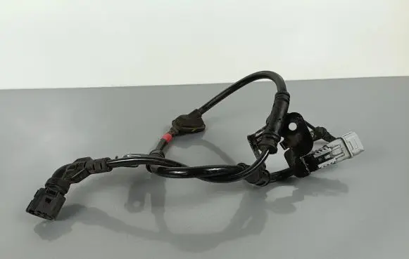 Hyundai Santa Fe Rear ABS sensor wiring 58960S1300