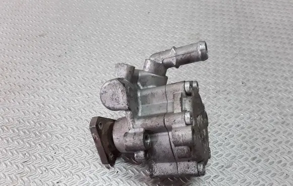 Dacia Sandero Power steering pump 7613955614