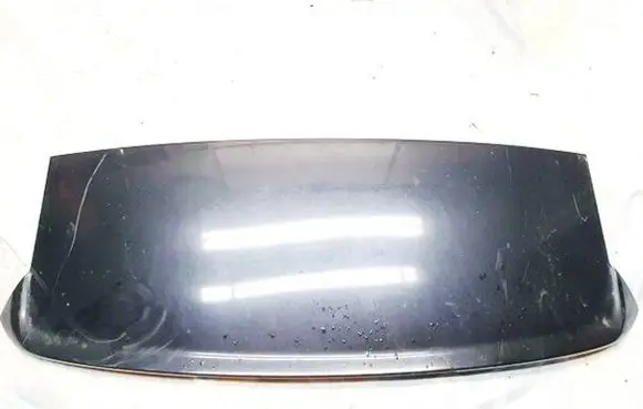 Tailgate/trunk spoiler