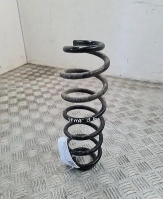 Volkswagen Jetta V Rear coil spring