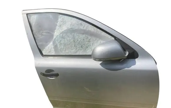 Skoda Octavia Mk2 (1Z) Front door