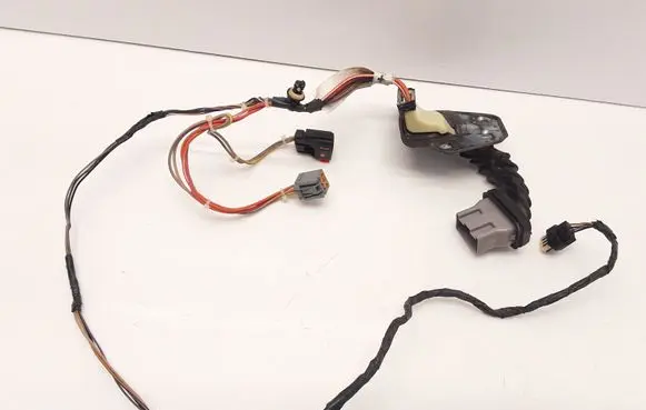 Rear door wiring loom