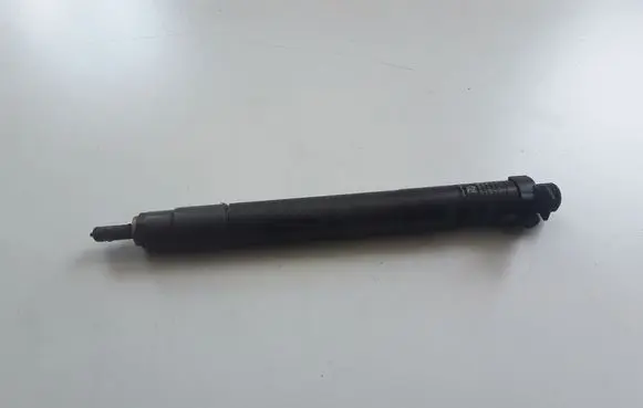 Ford Galaxy Fuel injector 9686191080