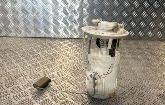 Renault Kangoo II In-tank fuel pump