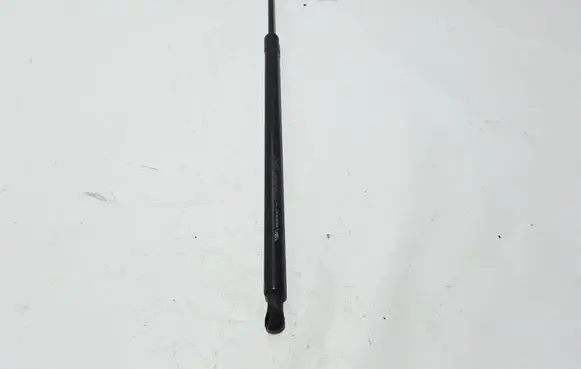 Renault Scenic III - Grand scenic III Tailgate strut 904517337R