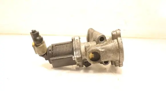 EGR valve