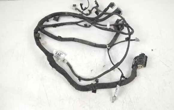 Ford Mustang Mach-E Other wiring loom LJ8T14B599EAC