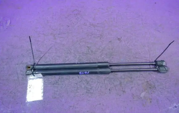 Tailgate strut