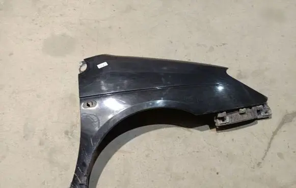 Renault Scenic I Fender