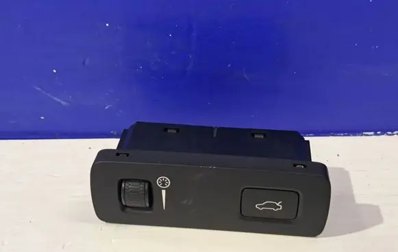 Volvo S90, V90 Tailgate/boot open switch button 31376510 P31376510