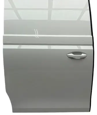 Volkswagen ID. Buzz Side sliding door 1T5843108E LB9A