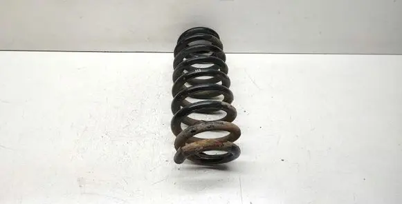 BMW X1 E84 Rear coil spring