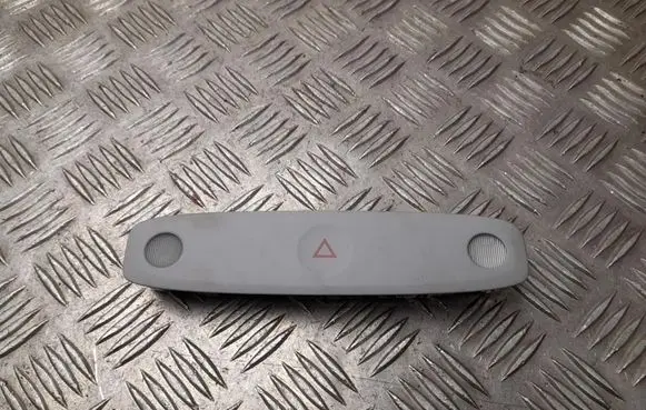 Tesla Model Y Front seat light 173929300G
