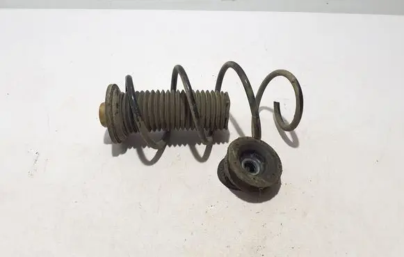 Renault Clio V Front coil spring 540104134R
