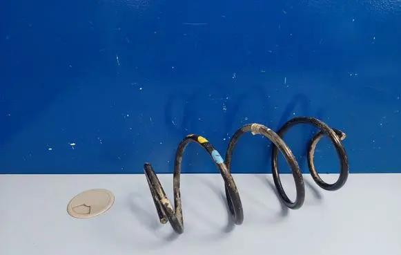 Front coil spring