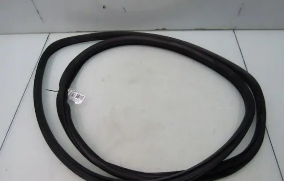 Honda Civic X Rubber seal rear door PRAWYCH