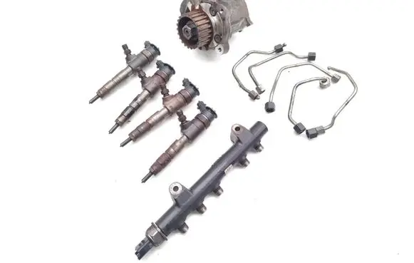 Citroen C3 Picasso Fuel injection system set 9688499680 0445010516 0445110340
