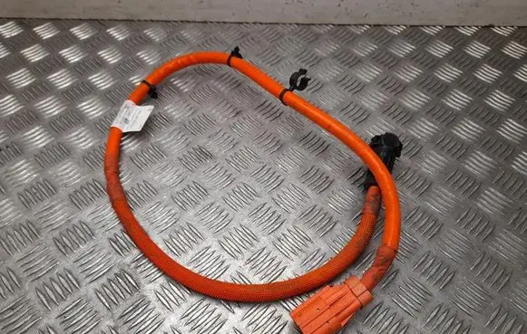 Porsche Cayenne (92A) Other wiring loom 7P5971602A