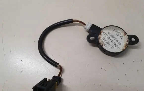 Peugeot 307 Panel speaker 9629824980