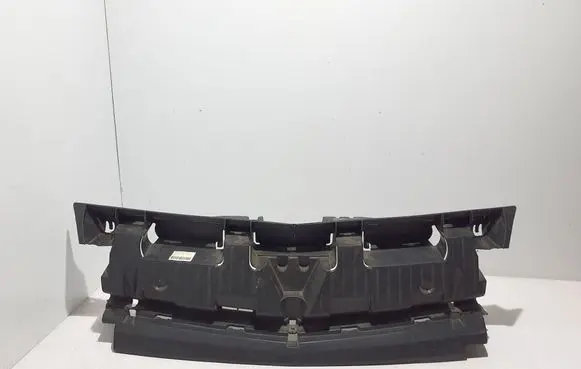 Renault Kangoo II Front grill 8200436706