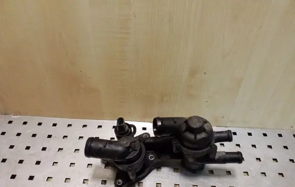 Thermostat/thermostat housing