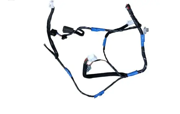 Hyundai Santa Fe Other wiring loom