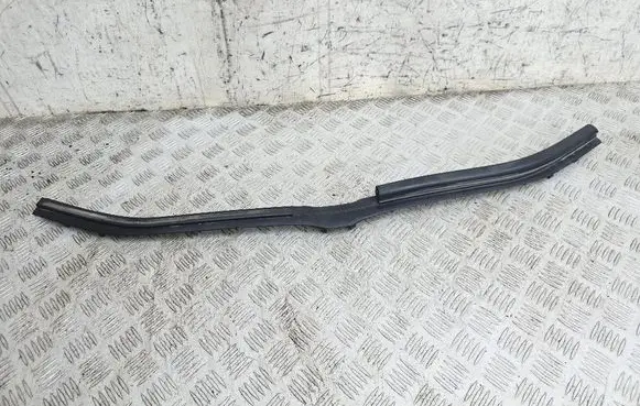 Radiator trim