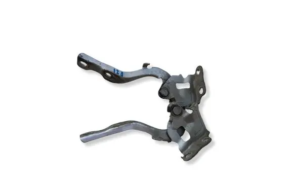 Hyundai i20 (PB PBT) Engine bonnet/hood hinges 