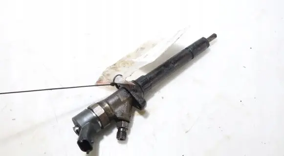 Peugeot 607 Fuel injector 0445110036
