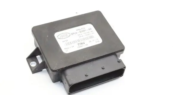 Land Rover Range Rover Sport L494 Rear brake EMF control unit/module DPLA2C491AD