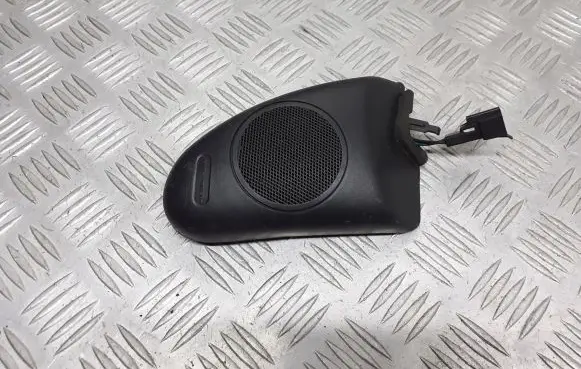 Chrysler 300M Front door speaker