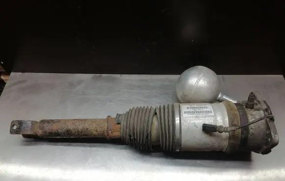Volkswagen Phaeton Air suspension rear shock absorber 3D0616001K