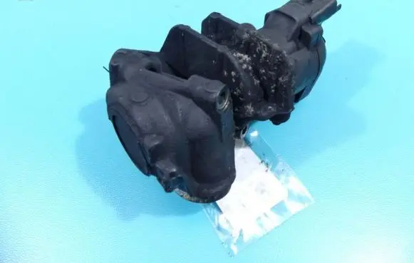 EGR valve